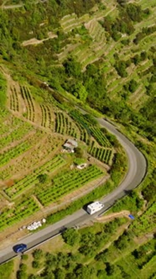 Vertical drone shot of a camper on a winding road in middle of elevated vineyards