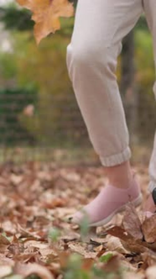 Adult Walking on Fallen Leaves Holds Autumn Leaf
