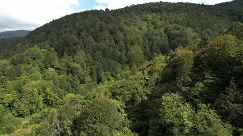 Aerial Rainforest Mountains