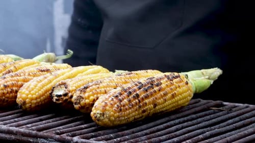 street food national holiday city day.barbeque pork chicken meat vegetables,quail birds on grill