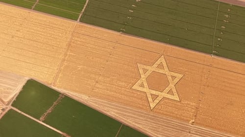 Estrela de David Crop Art em campo israelense