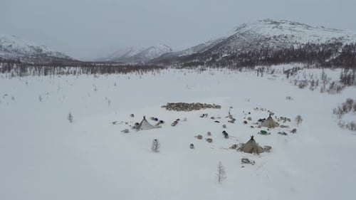 Aerial view of reindeer camp, Yamalo-Nenets Autonomous Okrug, Russia.