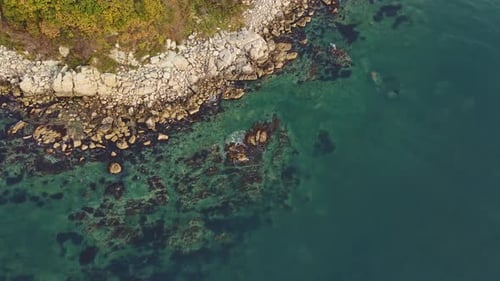 Aerial View of Rocky Shoreline By Water with Trees and Grass