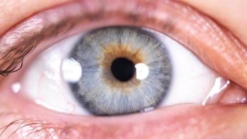 Ein Auge aus Nahaufnahme