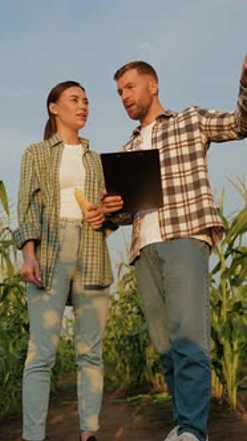 Agriculture Workers Inspecting Crops on Farm