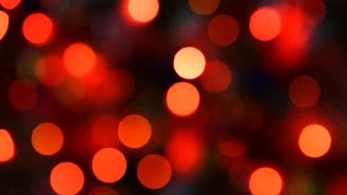 defocused christmas background
light, christmas, lights, blur, night, bokeh,