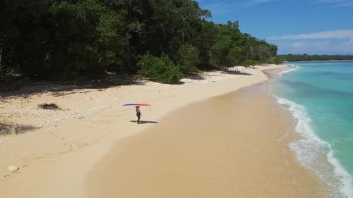 Aerial Perspective Showcasing Serene Beach with Lone Traveler and Vibrant