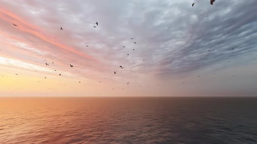 Flying Birds Over Ocean at Sunset | Serene Nature Background