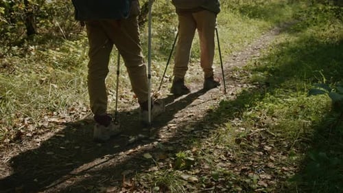Two Unrecognisable Tourists Walking down Forest Path with Trekking Poles