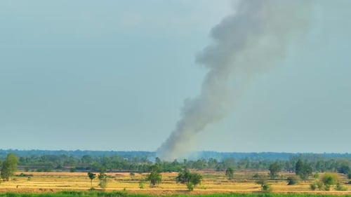 Smoke Plume Rising from Distant Field Fire