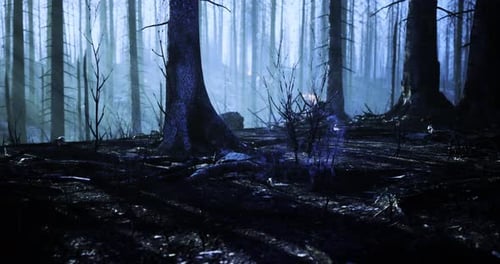 Mysterious Forest Landscape Shrouded in Blue Light and Shadows at Dusk