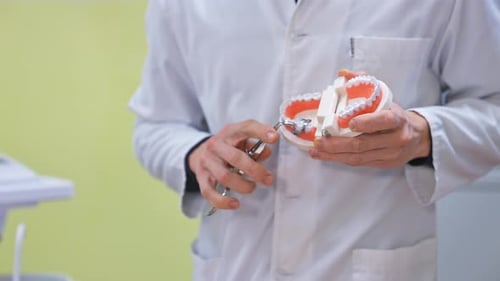 Medical Professional Demonstrates Procedure with Teeth Model