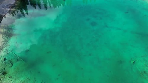 Karersee Lake with Mountain and Forest
