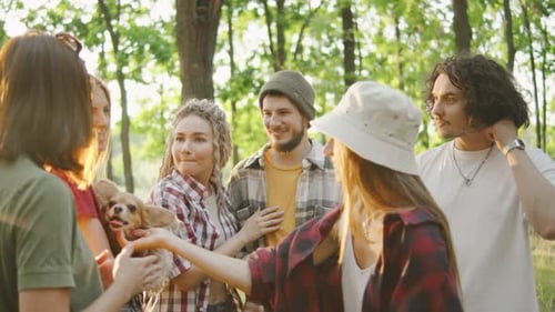 A Group of Friends Tourists Happily Talking and Laugh in the Forest with Tents in the Warm Sun Rays