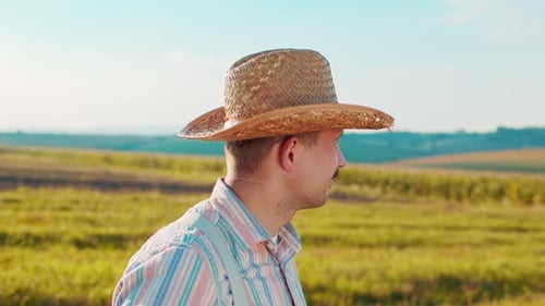 Rear View of the Male Farmer Looking at the Wheat Field at Sunset While Inspecting the Crop