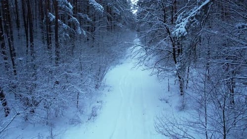 Vue aérienne : Belle route forestière d'hiver enneigée dans la neige, concept de voyage hivernal glacial