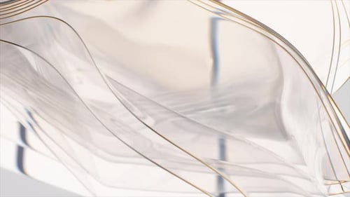 Animation 3D complexe de lignes ondulées translucides créant une structure abstraite délicate et subtile