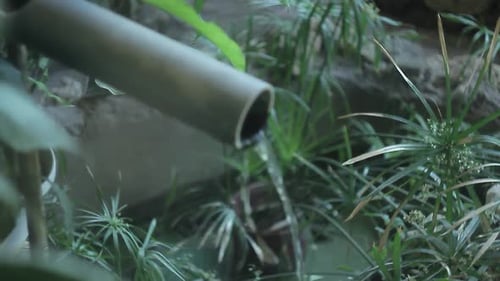 Ruhiger botanischer Garten! Der Wasserstrom fließt durch die Abwasserleitung nach unten in den Pool mit Wasser. Rundum in Pla
