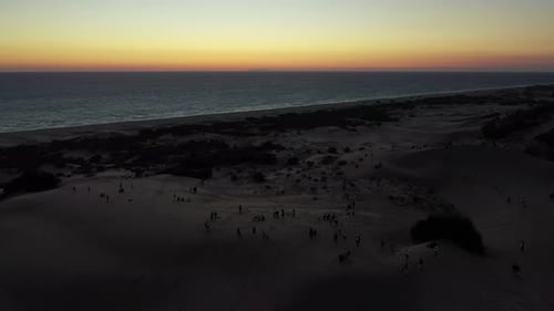 Aerial View of People Gathering on Beach Dunes