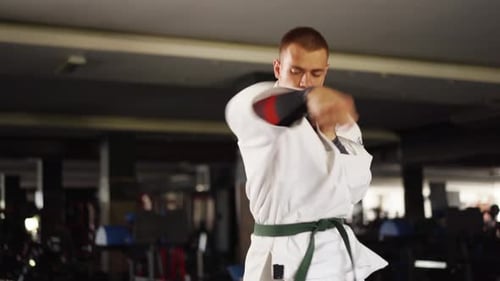 Young Adult Martial Artist Practicing Punches in Gym