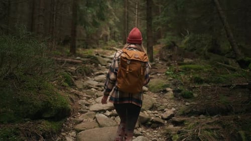 woman traveler walking on road in mountains