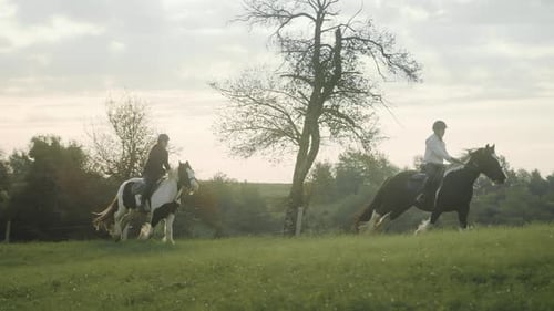 Luftaufnahme von jungen Mädchen, die in Zeitlupe auf majestätischen Pferden durch grüne Felder reiten.