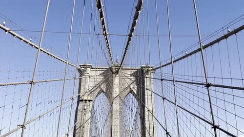 Le réseau complexe du pont de Brooklyn