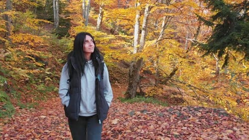 Pretty Woman Smile And Enjoy Walk In Autumn Forest