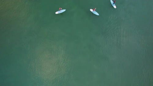 Tranquil Beach With Tourists Standup Paddleboarding At Orlowo In Gdynia, Poland. Aerial Topdown