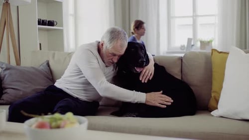 Senior Man Cuddling Dog on Sofa at Home
