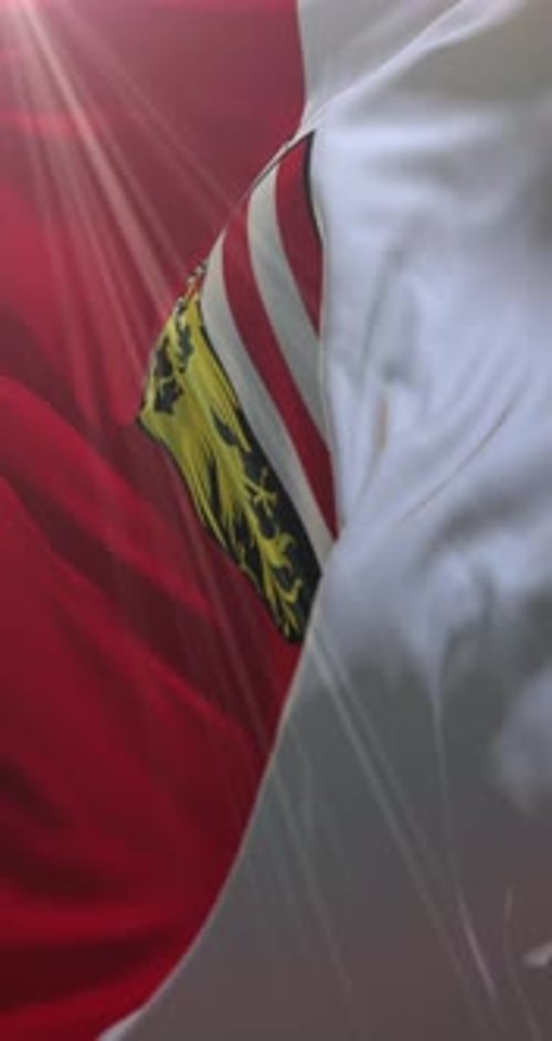 Bandera del estado de Alta Austria