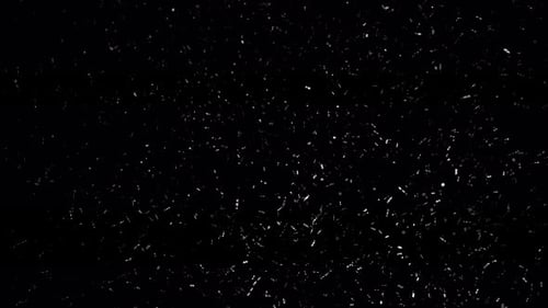 Real snow, falling snow, isolated on black background