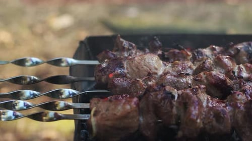 Frisches Fleisch am Spieß Grillen auf dem heißen Holzkohlegrill beim Picknick. Schliessen