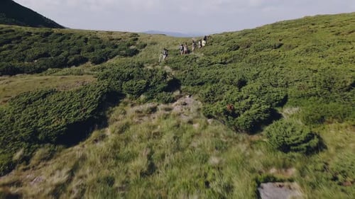 Tourists with Guide Walk Along Footpath on Green Hill Slope