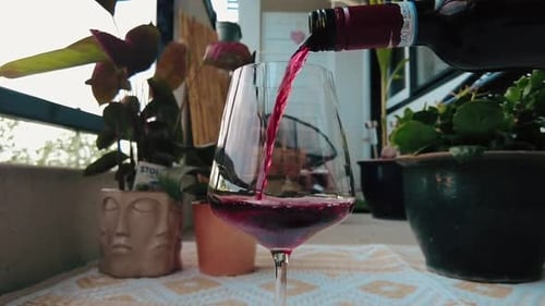 Pouring Red Wine Into Glass With Plants