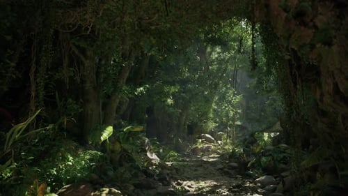 A Scenic Dirt Road Winding Through a Lush Forest in New Zealand