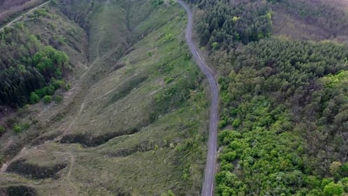 Small road passing through beautiful scenery with trees and slopes. Sunny summer day
