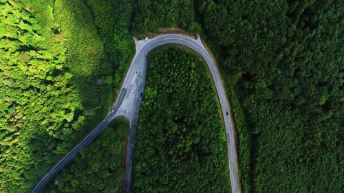 Highway loop in the lush green forests. Cars run by the road in the woods. Top view.