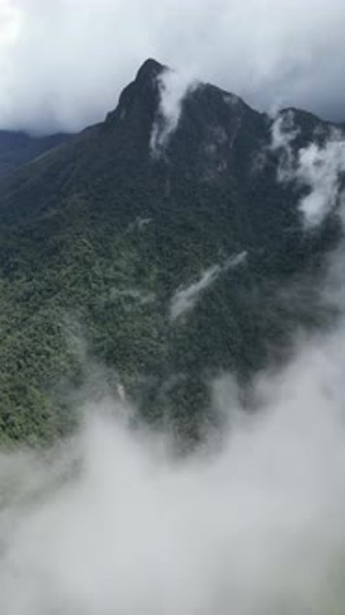 Aerial video over Salento towards a lush forested valley in the mountains of Colombia, Colombia