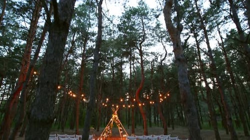 Festive String Lights Illumination on Boho Tipi Arch Decor on Outdoor Wedding Ceremony Venue in Pine
