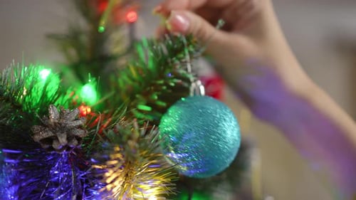 Closeup of a Turquoise Christmas Ball That a Woman Hangs on a Christmas Tree Branch with Her Right