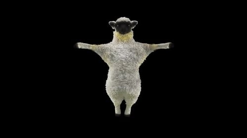 Animated 3D Sheep Dancing and Balancing Loop
