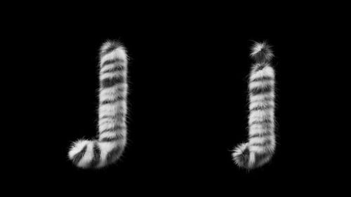 Animação 3D de uma letra de lã Zebra maiúscula e minúscula J