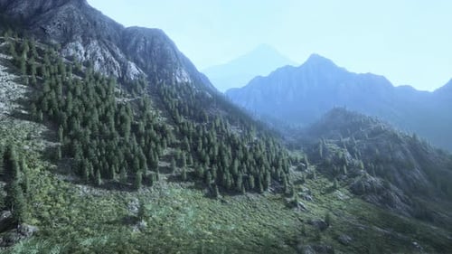 Mountain Range with Valley and Forest