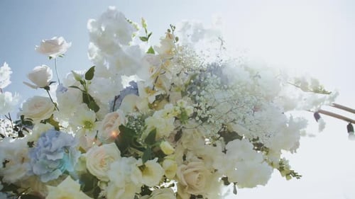 a Close Up of a Bouquet of White Flowers Against a Blue Sky