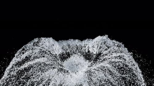 Splash