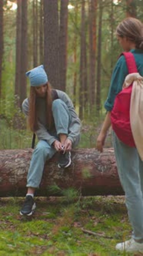 Friends Pausing in Forest Conversing on Fallen Tree