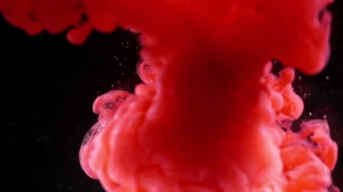 Red Ink
