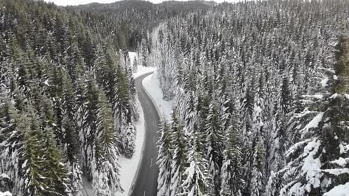 Curvy windy road in snow covered forest, top down aerial view