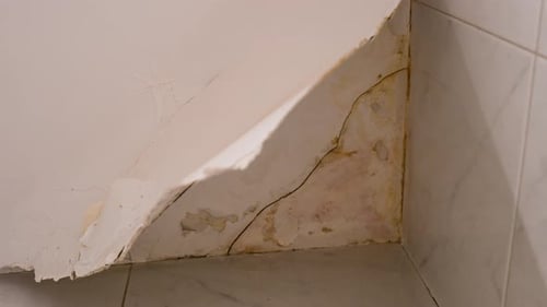 Close Up Peeling Bathroom Paint: Yellow Water Stains, Deep Crack & Humidity Decay Texture Detail
